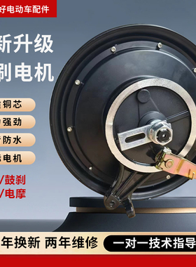 电动车电机10寸国标48V60V72V8001000W大功率电瓶车电摩后轮电机