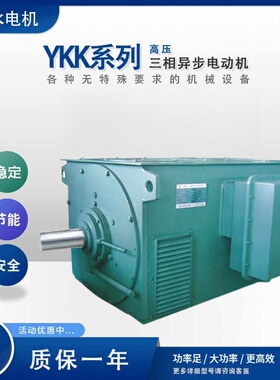 河北衡水猛牛电机Y/YX/YKK/YXKK/YKS/YR/YRKK/YRKS系列高压电动机