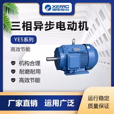 湘电集团湘潭电机股份有限公司YE5-90L-112M-100L2系列三相异步电