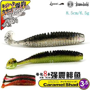 Shad3.5寸T尾面条虫卷尾路亚鲈鱼软饵鳜鱼 常吉T尾软饵Caramel