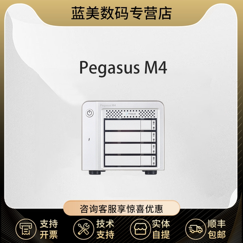 promise雷电存储桌面磁盘阵列
