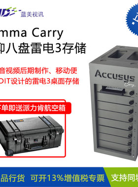 Accusys世仰 Gamma Carry 雷电3磁盘阵列 影视后期存储 视频剪辑 4K磁盘阵列柜