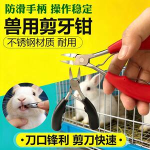 兽用小猪兔子剪牙钳不锈钢宠物猫狗仓鼠龙猫松鼠剪牙器断牙齿工具
