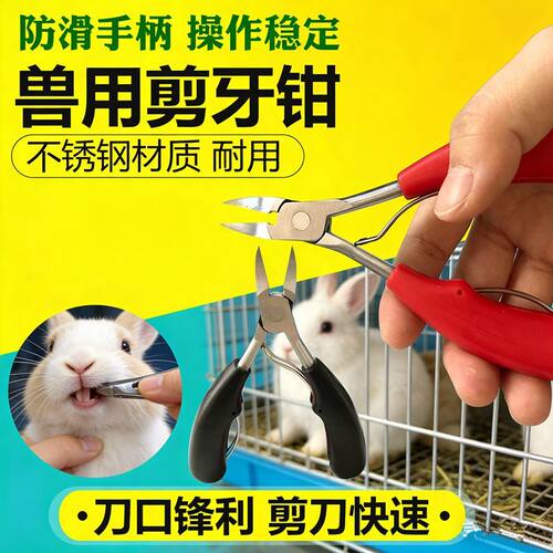 兽用小猪兔子剪牙钳不锈钢宠物猫狗仓鼠龙猫松鼠剪牙器断牙齿工具