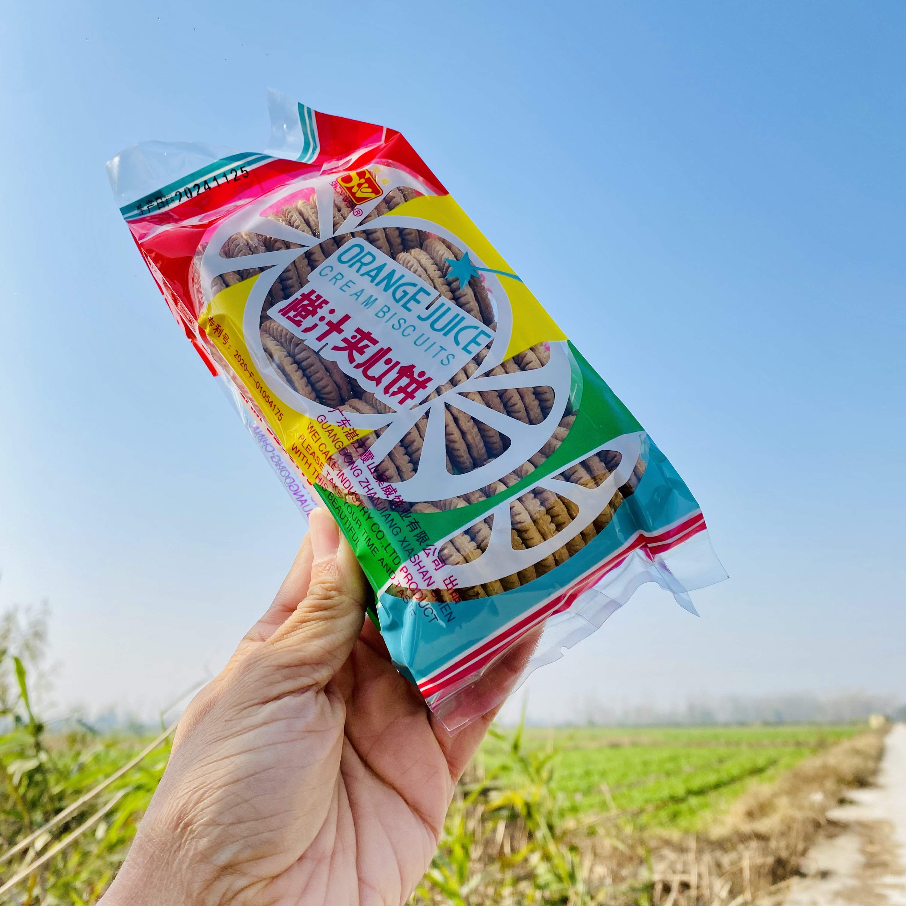 橙汁夹心饼干老式怀旧湖北特产