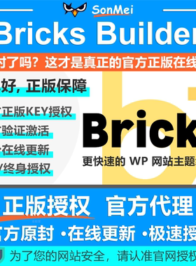 Bricks Theme BricksBuilder WordPress主题正版Key授权在线更新