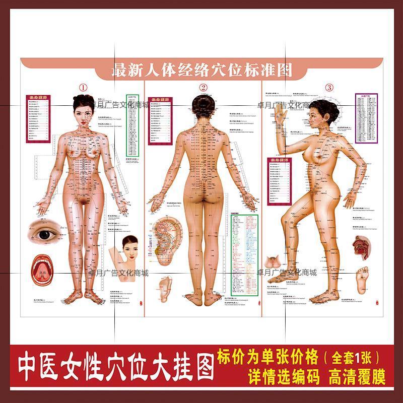 人体标准经络穴位图大挂图中医针灸穴位海报女 美容保健墙贴挂画