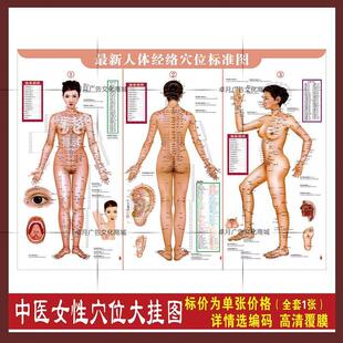 人体标准经络穴位图大挂图中医针灸穴位海报女 美容保健墙贴挂画