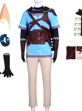 塞尔达传说2王国之泪 林克Zelda角色扮演同款游戏cosplay服现货