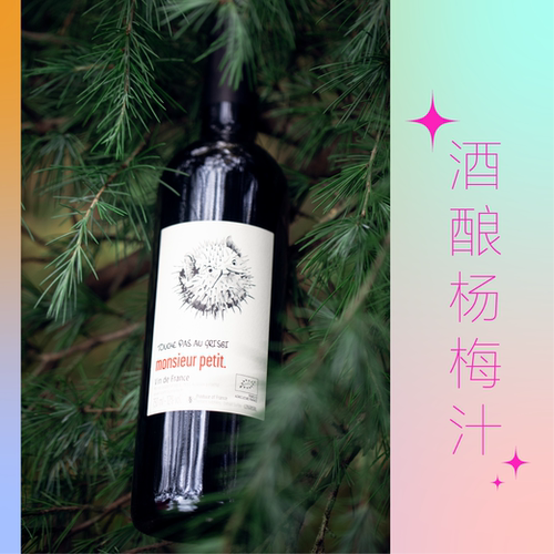 自然酒干红葡萄酒简单易饮