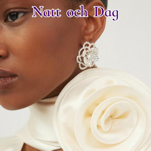 【黑夜系列】Natt och Dag轻奢小众设计感耳环高级感气质耳钉