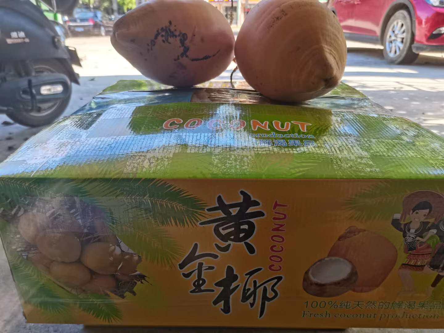 海南金椰子特产水果黄金椰子红椰非青椰泰国椰皇6个装特价包邮