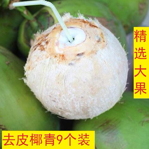 9个装去皮海南大椰青椰子碗 特产精选大果水肉多新鲜孕妇水果包邮