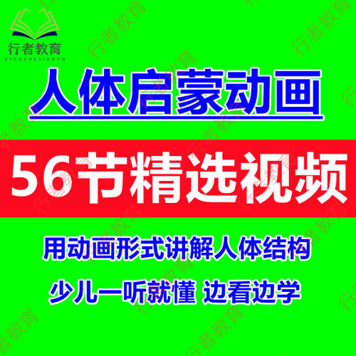 儿童人体结构奥秘启蒙教育动画视频器官生理系统探索科普知识动画
