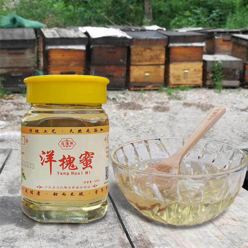 卢氏洋槐蜜槐花蜜农家原蜜地标产地蜂蜜500g孕妇宝宝营养食品