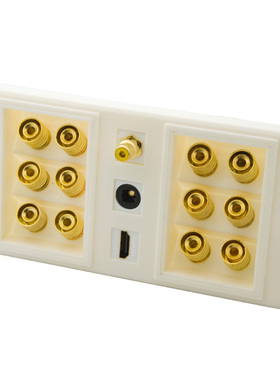 86型 欧式 功放插座 6.1音箱面板