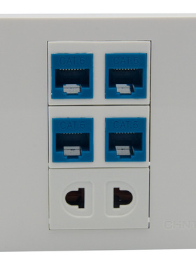86型欧规 2孔电源 4口网络 组合面板
