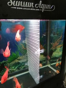 鱼缸用水族箱专用隔离板网挡板隔板隔断定做定做定制订制分隔制i.