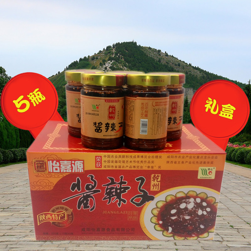 乾州酱辣子乾州辣酱夹馍拌饭呱婆陕西美食特产怡嘉源四宝礼盒5瓶