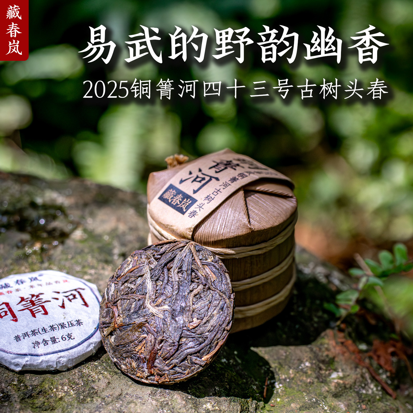2025易武铜箐河古树头春小提装