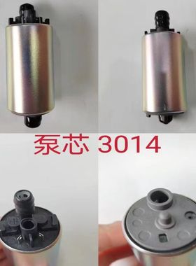 适用于春风ZFORCE 550全地形车电喷摩托车油泵马达电机汽油泵心
