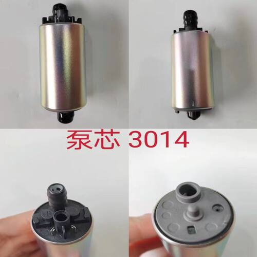 适用于春风ZFORCE 550全地形车电喷摩托车油泵马达电机汽油泵心