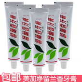 上海美加净留兰香牙膏145g出口转内销清新口气清洁牙齿牙垢家庭装