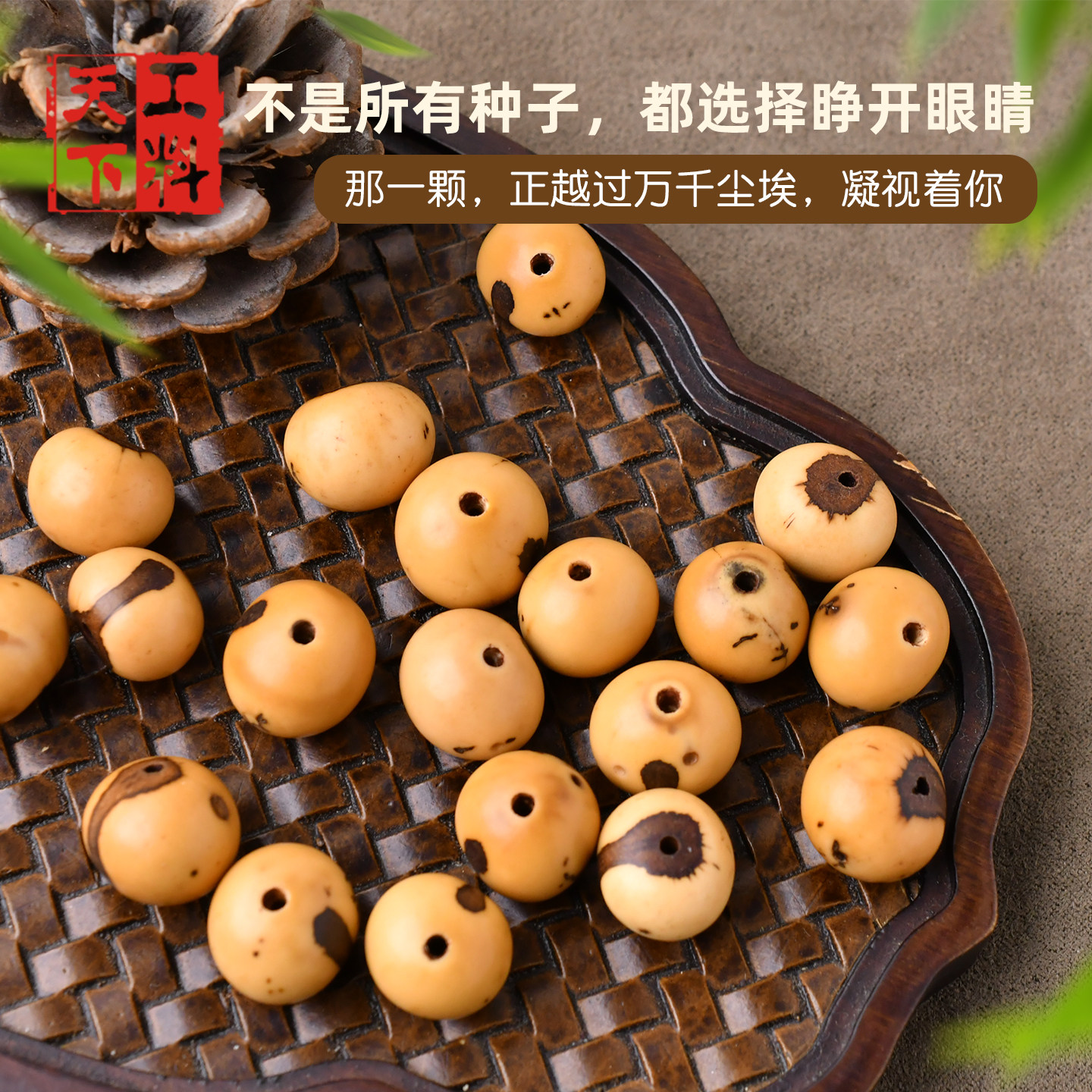 佛眼菩提子散珠DIY饰品配件图片