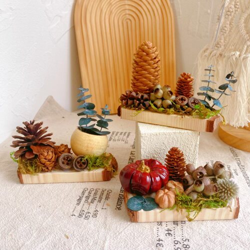 森系干果植物摆件手工制作