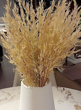 燕麦永生干花束文艺拍照装饰