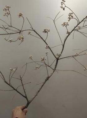 小白果乌桕果花束装饰品家居干花干树枝花瓶插花摆件diy手工