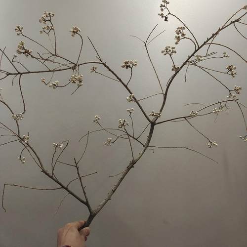 小白果乌桕果花束装饰品家居干花干树枝花瓶插花摆件diy手工