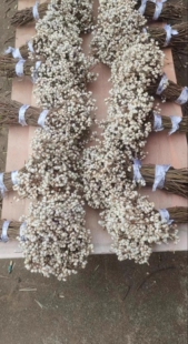 小白果乌桕果干花花束插花松树装饰树枝植物圣诞树北欧风花束干花