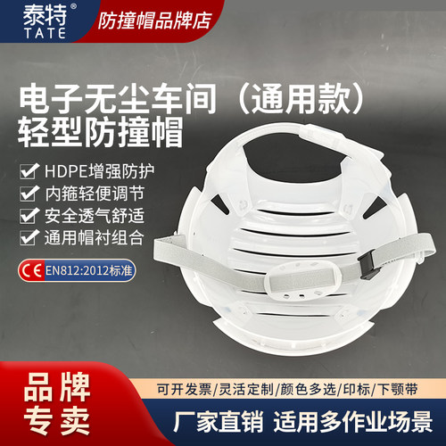 泰特洁净无尘电子车间CEEN812