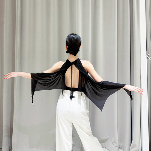 ZS显幅度显飘逸 拉丁舞摩登舞服装舞蹈成人女上衣表演连体衣 Y415