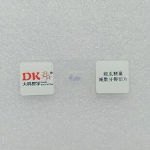 大科教学 蝗虫精巢减数分裂装片 10片/盒 生物切片 中小学生玻片