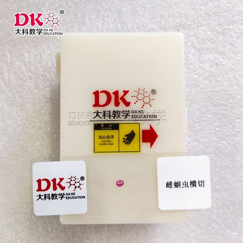 大科教学 寄生虫类 显微玻片 雌蛔虫横切 高等教学切片10片/盒