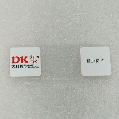 精虫涂片  10片/盒 生物显微玻片标本 生物切片 中小学专用