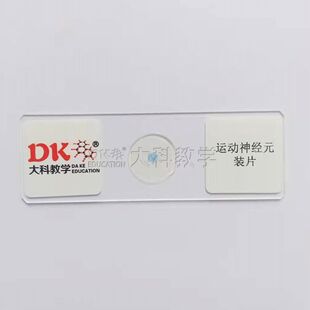 运动神经元装片 10片/盒 显微生物切片 中小学教学使用