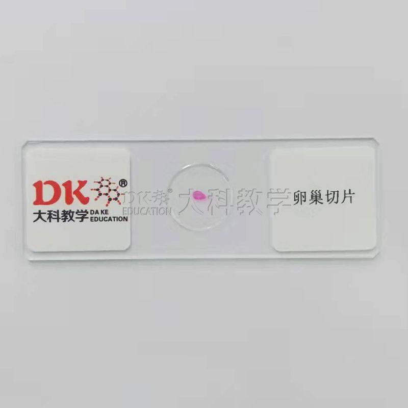卵巢涂片 10片/盒 生物玻片标本 中小学使用,文具电教/文化用品/商务用品,教学仪器/实验器材,淘宝优惠券,粉丝福利购,淘宝优惠卷