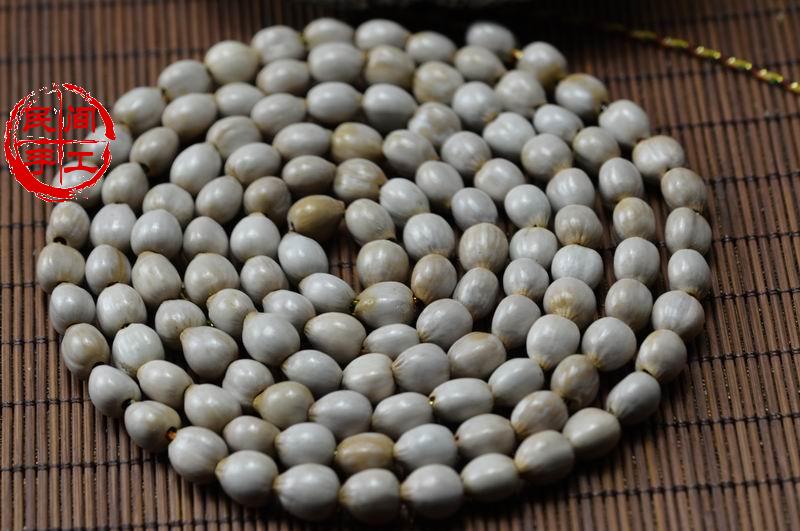 草菩提　草珠子　白色灰色黄色