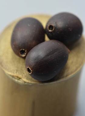 金莲子菩提　大理菩提　棋钵菩提　大富菩提　天竺　五线菩提　