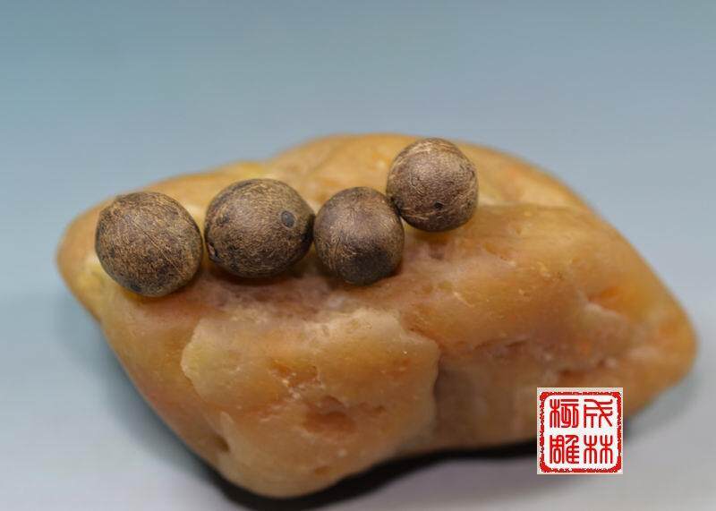 招财童子菩提子 金刚 龙眼 凤眼 紫檀 雕刻加工 沉香 橄榄核 滴血