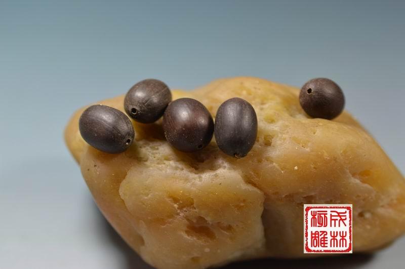 睡美人菩提子 佛印菩提 铁莲子菩提木鱼果菩提 太阳菩提 紫檀橄榄