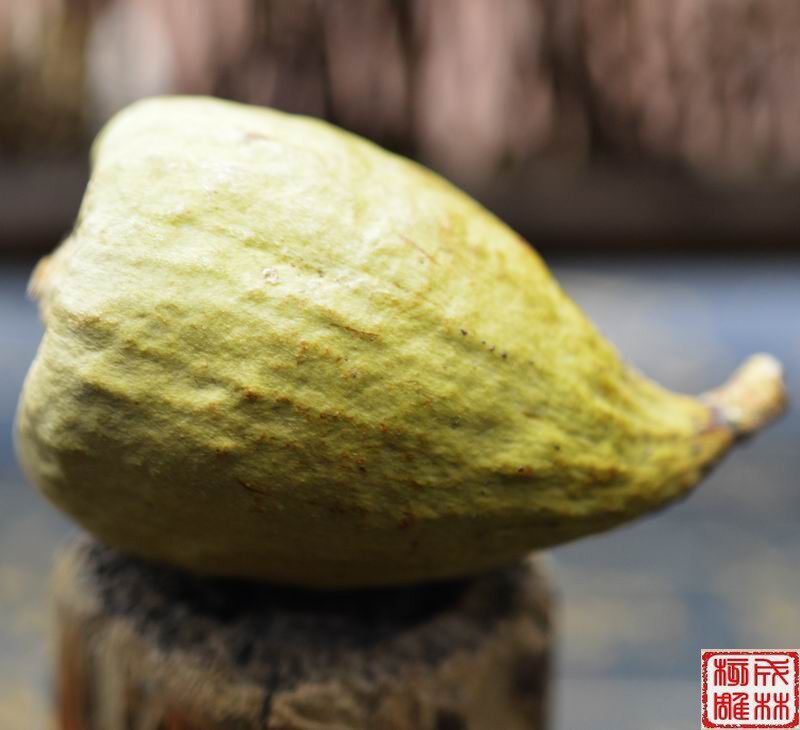 绿木馒头菩提 天然绿色 木馒头菩提 金刚 风眼 龙眼 麒麟眼 核雕