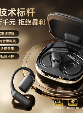 Sibyl B1【柏林之声丨主动降噪】蓝牙耳机骨传导概念挂耳式开放式