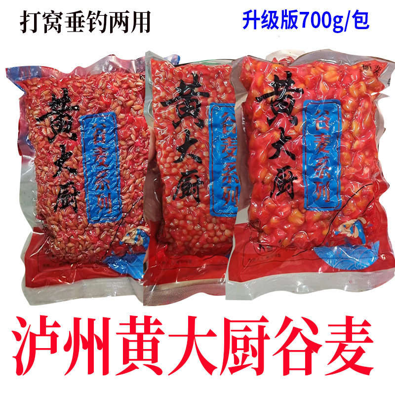 泸州大厨逗钓谷麦窝料鲤鱼