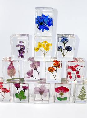 真植物标本昆虫标本树脂摆件满天星玫瑰透明琥珀干花标本生日礼物