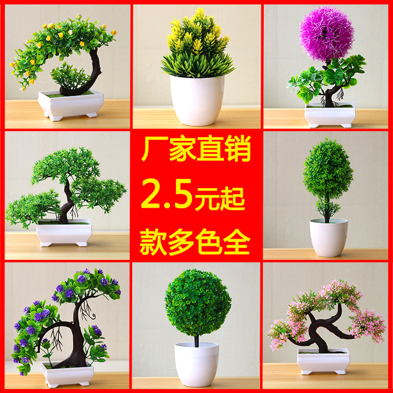 球仿真植物盆栽草球盆景小树家居装饰花摆件创意小圆球