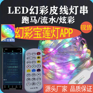 网红爆款宝莲灯幻彩蓝牙App控制轻量化声控串串灯幻彩皮线灯